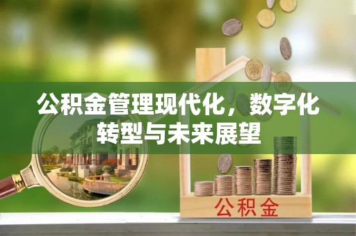 津市公积金管理现代化，数字化转型与未来展望