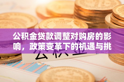 津市公积金贷款调整对购房的影响，政策变革下的机遇与挑战